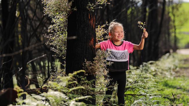 Gracie, 6, is thrilled to see greenery. Picture: Alex Coppel