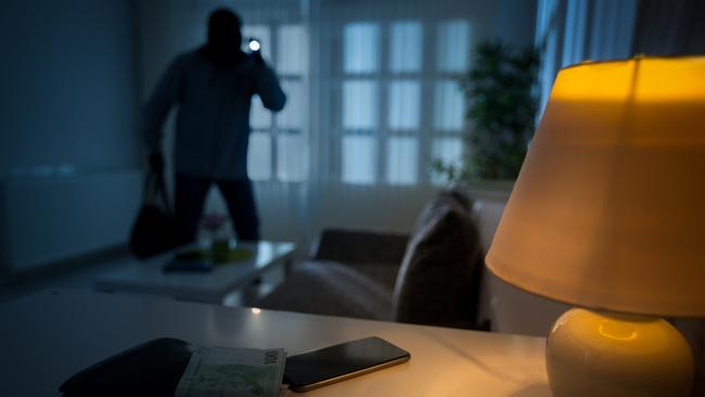 Queenslanders are enduring a plague of lawlessness for which it seems there is no cure, says Mike O’Connor. Picture: iStock