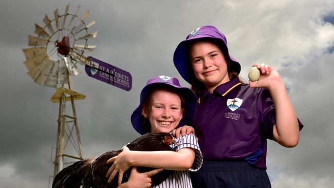 BEST PHOTOGRAPHS 2022. Evan Morgan. St Benedict's Catholic School year 3 students Rose Trigg, 8, and Hayley Regden, 8, with one of the school's chickens called Precious. Picture: Evan Morgan