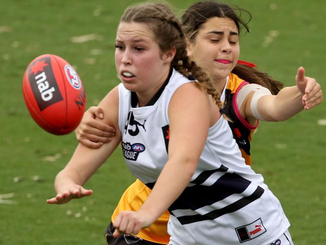 NAB League Girls: Dandenong Stingrays v Northern Knights.45 Molly McErlain for theNorthern Knights.Picture : Stuart Milligan