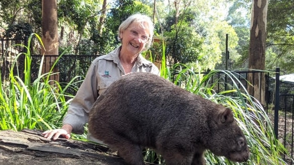 Deborah Ireland volunteers at Blackbutt Reserve. With one of the many native animals she looks after. Supplied.