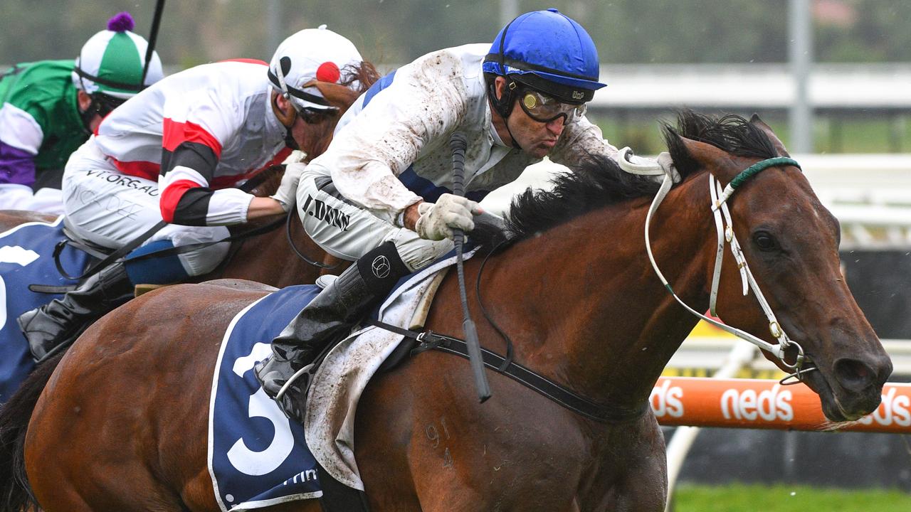 Super Seth wins Manfred Stakes at Caulfield | Herald Sun