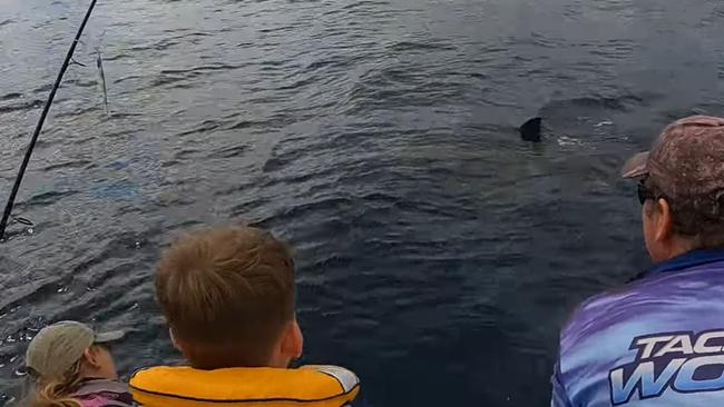 (R to L) Matthew, Mason, and Mikayla Thomsen watching on as the great white shark circled their boat. Picture: Supplied