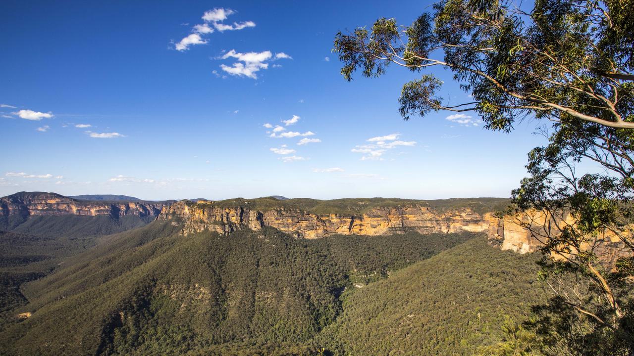 Anyone living in the Blue Mountains with a fever or respiratory symptoms such as a runny nose and sore throat is urged to get tested.