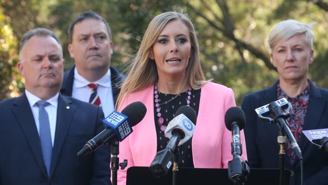 Greens MP Cate Faehrmann and Animal Justice MP Emma Hurst said they would consider withdrawing support over the government’s stance on shark nets. Picture: NCA NewsWire/ Gaye Gerard