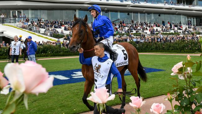 Bivouac and Glen Boss prior to winning the Group 1 Newmarket Handicap at Flemington earlier this year. Picture: AAP