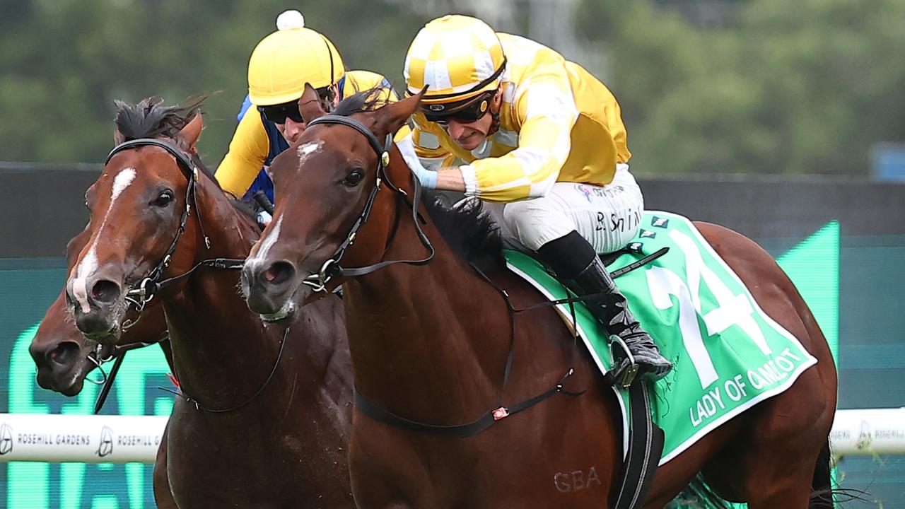 Lady Of Camelot is the favourite for the Magic Millions Sunlight. Picture: Jeremy Ng / Getty Images