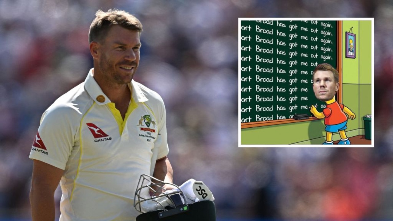 David Warner mocked by match referee