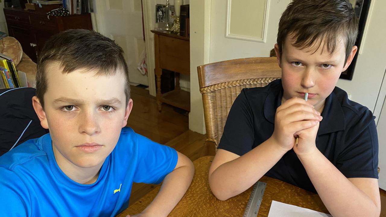 Toowoomba boys Matteus Holm and Archie Humphries are concerned the council will permanently cut opening hours for libraries.