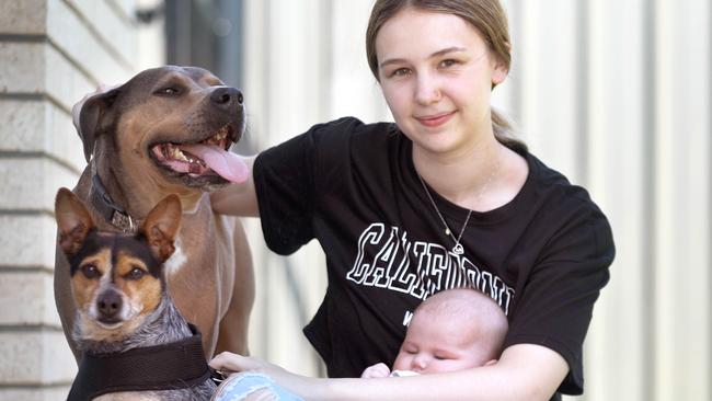 Dusty, an American Staffy was bitten by a brown snake, but was saved from further attack by Roxy, a Chihuahua x Blue Heeler. Their owner, Tayla McKenzie with 3 month old baby Aria and the two happy dogs. 8 November 2022. Picture Dean Martin