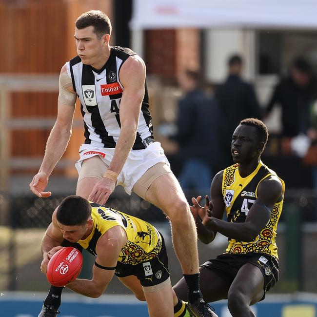 Mason Cox helped the Magpies defeat Richmond in their round 13 VFL match. Picture: Martin Keep/AFL Photos via Getty Images