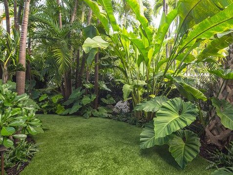 Backyard in Queensland. Photo: Supplied