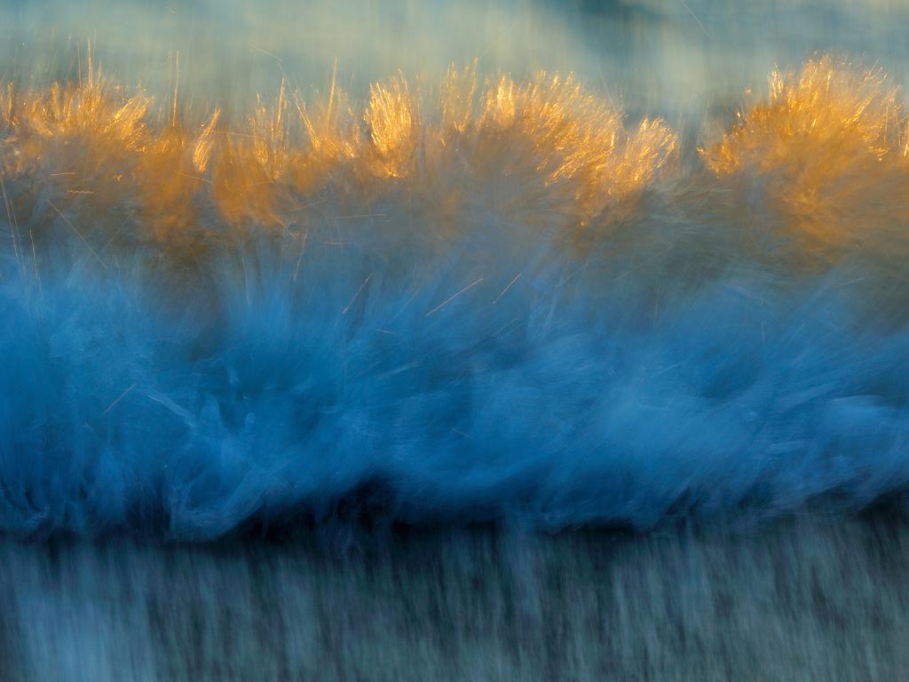 GDT Nature Photographer of the Year 2016 1st place/Category -Forces of Nature: Forces of Nature: Sandra Bartocha (Germany) - Wave