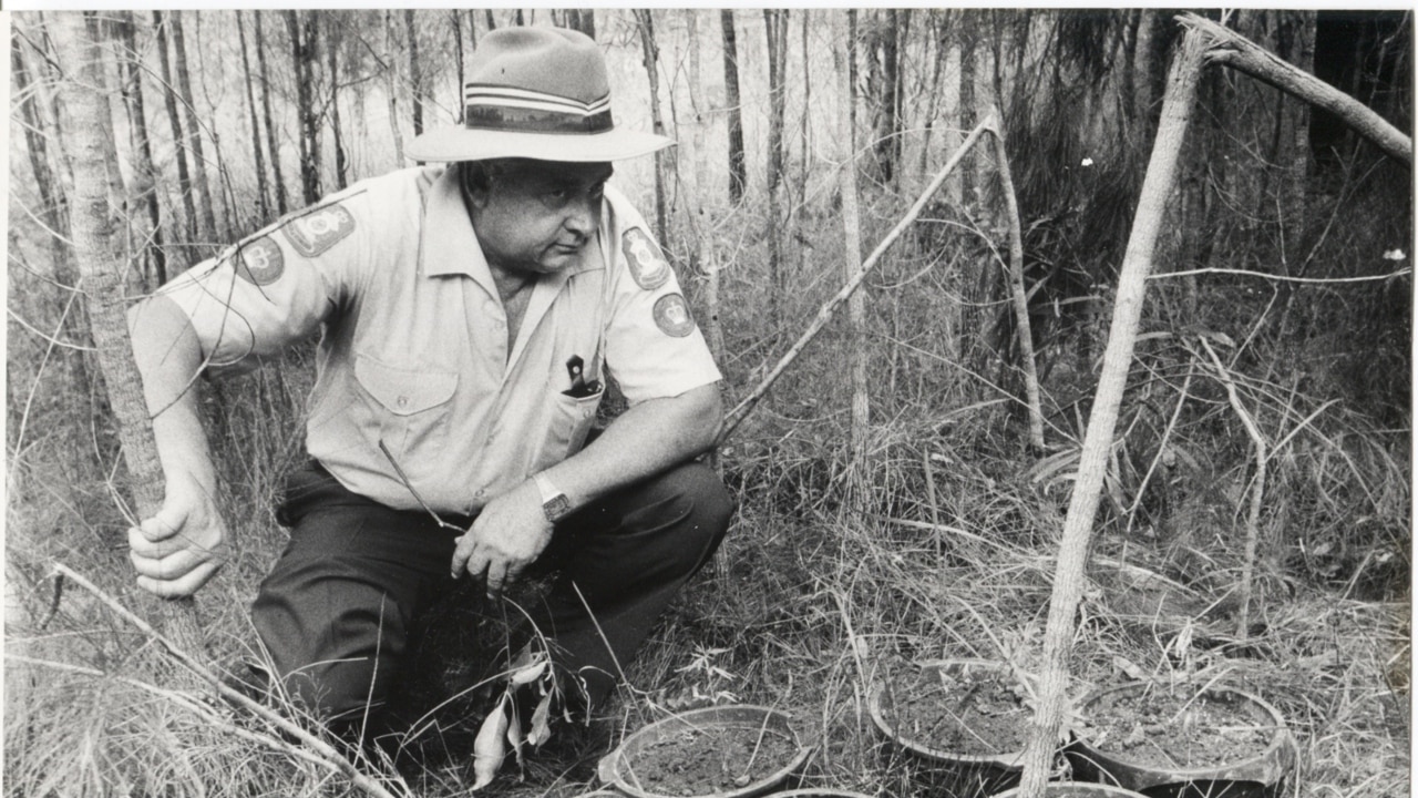 Man arrested over 1983 Gold Coast murder of Linda Reed (2018)