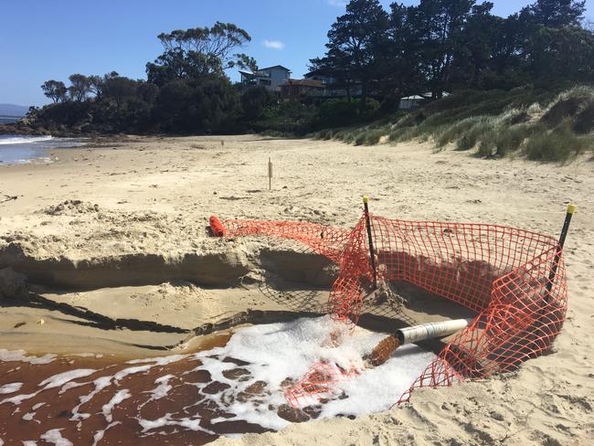 The pipe empties into the seahorse’s garden this week.