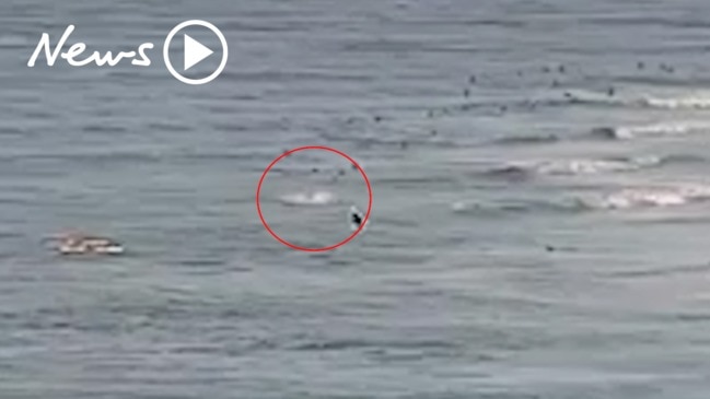 Moment surfer fatally attacked by great white