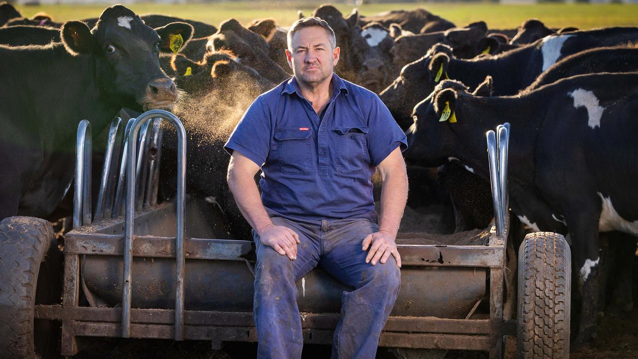 ‘Heartbreaking reality’: Cows killed, milk and beef costs to rise, as Vic drought hits hard