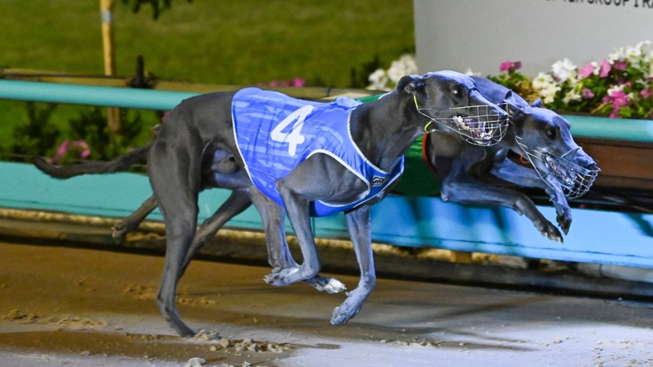 Tommy Shelby (blue rug) wins the Australian Cup at The Meadows last week. Photo: Jason Mckeown.