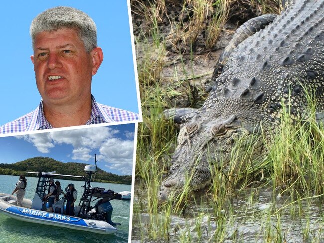 Croc spotted on North Stradbroke Island.