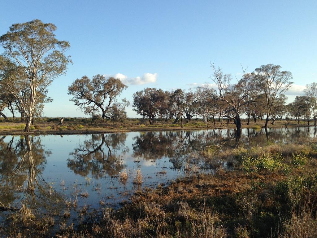 Irrigators face fines in valley water cap