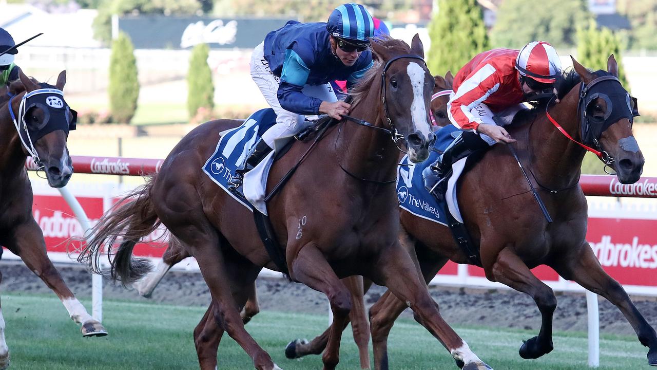 The Matt Laurie-trained Sayumi can make another winning return to racing when she steps out at Geelong on Wednesday. Picture : Racing Photos via Getty Images.