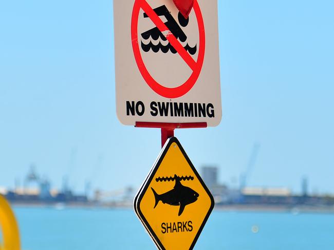 Editor’s view: Will Premier move on shark control?