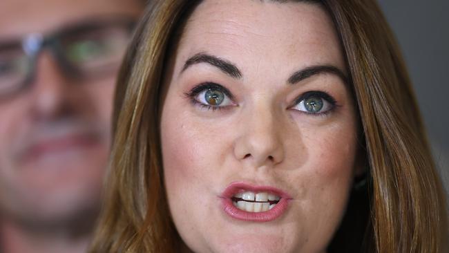 Australian Greens Senator Sarah Hanson-Young speaks during a press conference at Parliament House in Canberra, Wednesday, June 21, 2017. (AAP Image/Lukas Coch) NO ARCHIVING