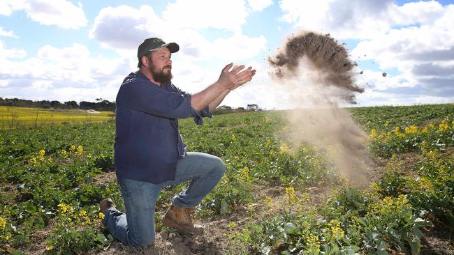 In 2018, Giffard West farmer, Trent Anderson had been in drought for two years with the lack of rain is now starting to take its toll on their country. Picture: Andy RogersPictures