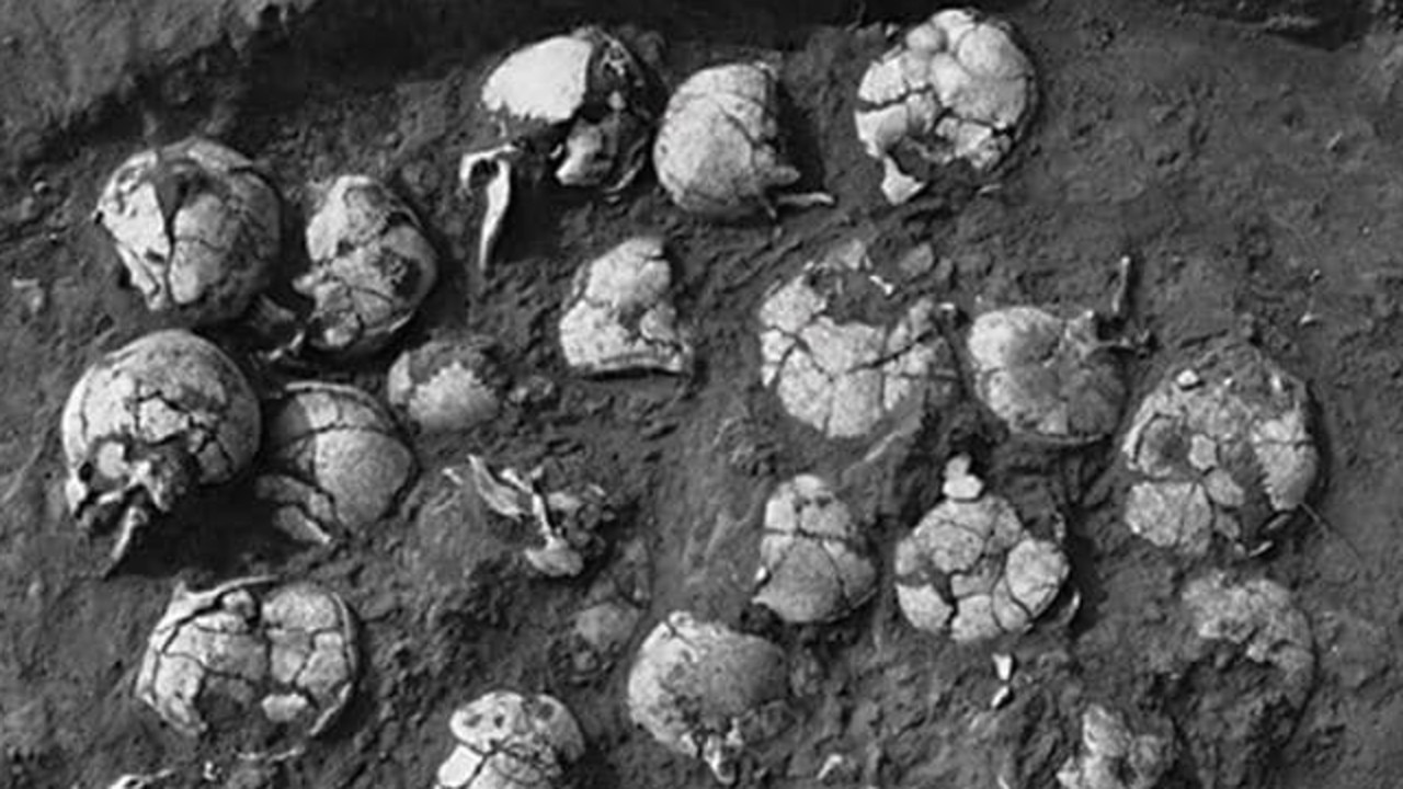 Ancient human skulls found at the recently discovered huge Chinese city. Picture: supplied