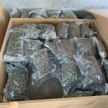 Northern Territory Police charged a man with commercial drug offences in Adelaide River on Monday morning. Picture: NT Police