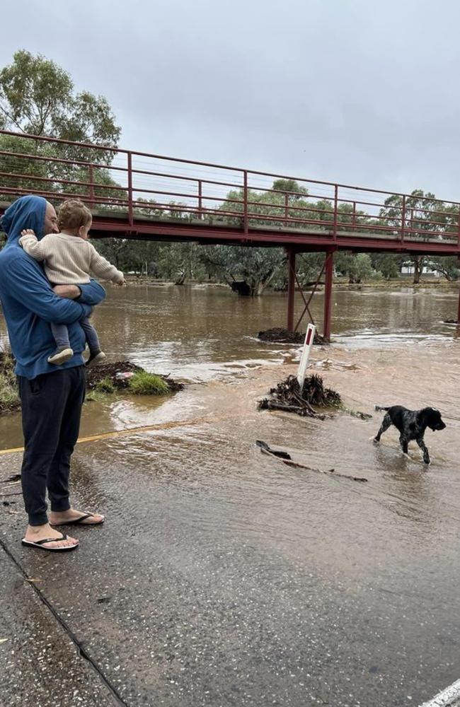 Every man and his baby and dog were checking out the Todd.