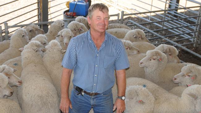 RASV flock of the year competition Neil Search, manager of Castle Creek, Molka with his flock of Willera blood sheep which were placed second in the competition.