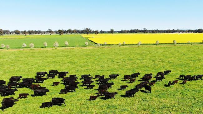 Culverly Rise near Bungowannah was sold at auction on Friday in a deal including water entitlements