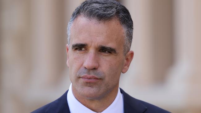 Premier Peter Malinauskas has called for calm. Picture: NCA NewsWire/David Mariuz