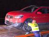 Businesswoman on drug charges bailed out by dad