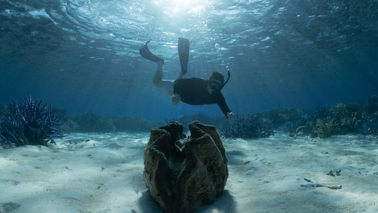 With our own naturalist guide, we plunge into the shallow lagoon for a snorkel tour.