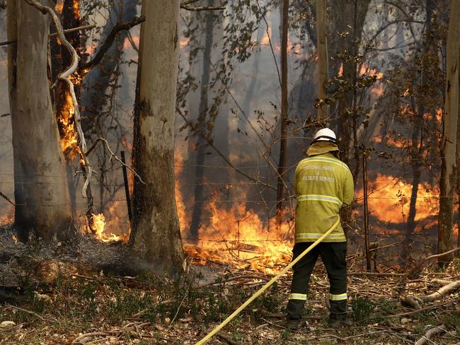 Logging ‘played no part in fires’