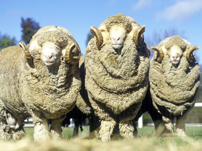 Fleece from the Australian wool clip is now set to be once again scoured and cleaned on home soil at Blackall in central west Queensland.