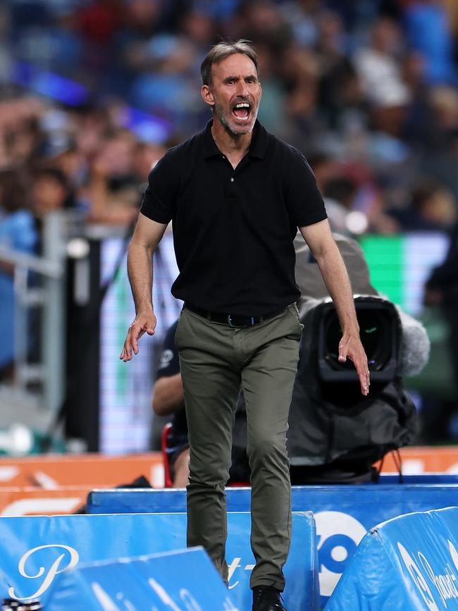 Melbourne City head coach Aurelio Vidmar questioned a first half penalty. Picture: Mark Kolbe/Getty Images