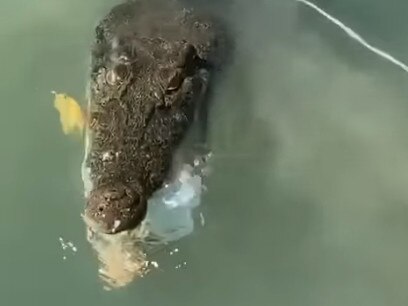 A still from the video showing the croc grabbing hold of a crab pot on a  river in Darwin.  Picture: Supplied