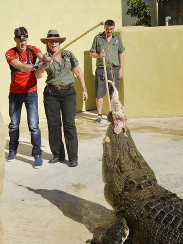 CHOPPERS - Feeding Hungry Crocodile Game 