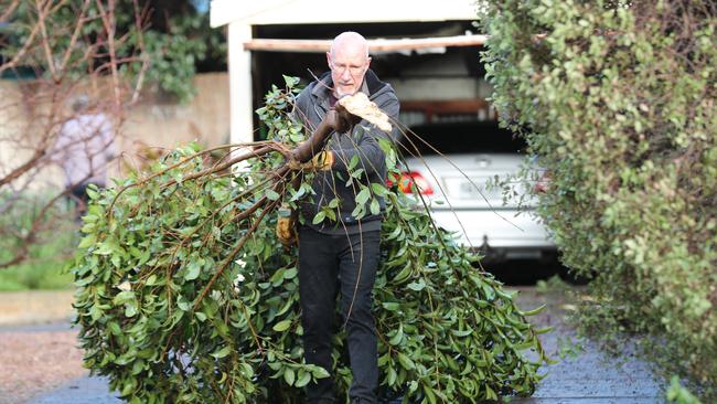 Steve Laidlaw cleans up tree debris. Picture: Tait Schmaal.