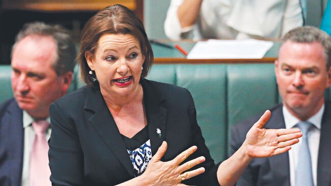 Health Minister Sussan Ley has been forced to issue an apology over the expenses scandal. Picture: Ray Strange.