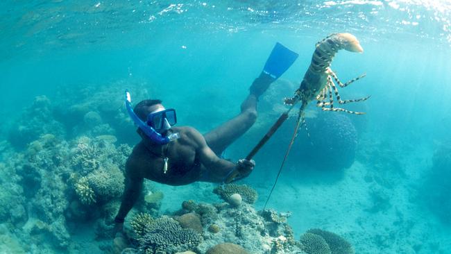 CSIRO scientists don’t always work in labs. Photo: CSIRO