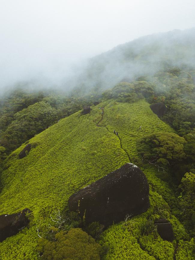 The mist covered mountain is a major drawcard for experienced hikers. Picture: Tourism Queensland.