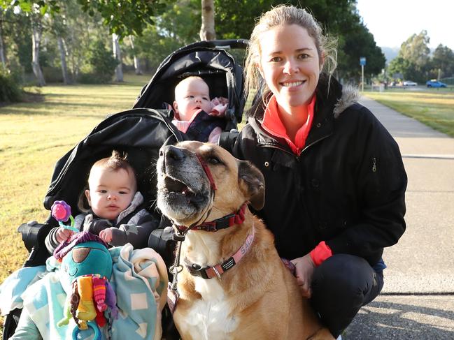 Jessica Smith, 34, of Moorooka, walking her Boxer cross Border Collie called Sally with her 8 month-old twins Angus and Ellie, Koala Park, Moorooka. Picture: Liam Kidston