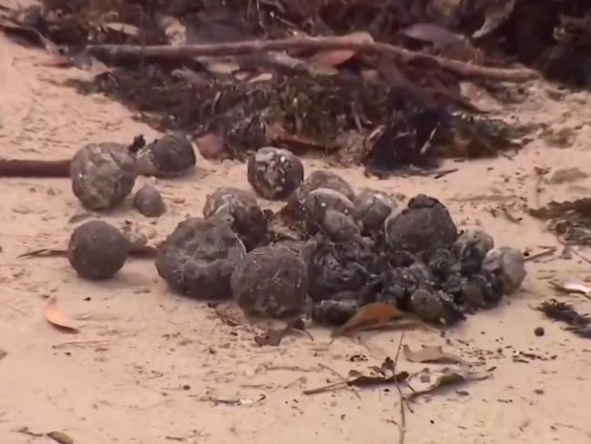 Sydney beaches re-opened after tar balls wash ashore