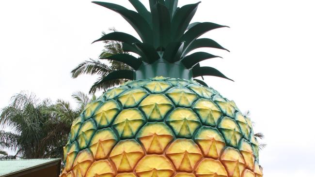 SUNDAY ESCAPE. BIG THINGS WISHLIST. The Big Pineapple, Queensland. Picture: Jennifer Ennion