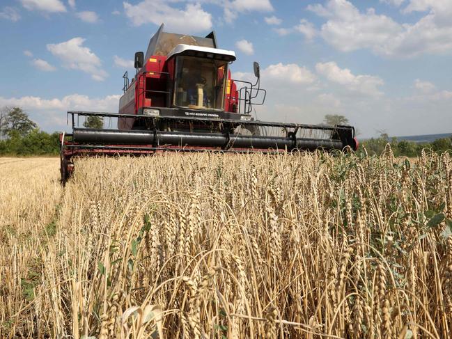 Russia, the world's leading wheat exporter, is consolidating its dominant position in the Black Sea and tending to redraw the routes of the bread grain. Picture: AFP