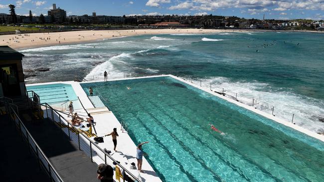 Bondi Icebergs. Picture: Bianca De Marchi